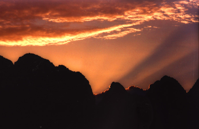 夕阳西下山成影 摄影 红叶枫树林