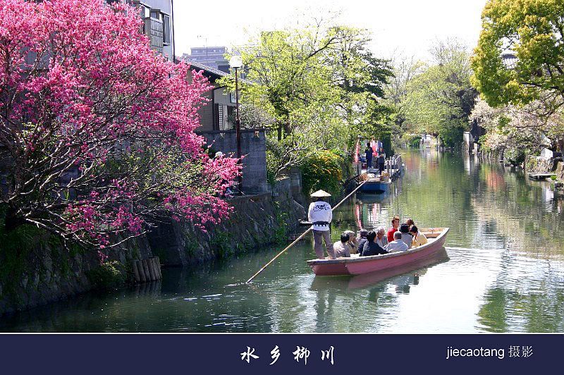 水乡柳川 摄影 结草堂