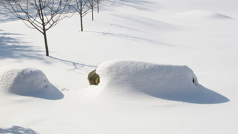 <<雪影美白>>之三 摄影 kuangkee