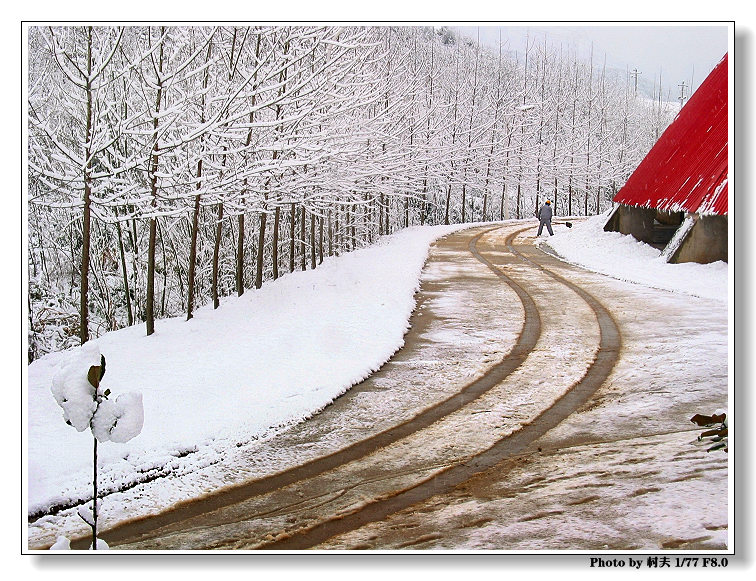 春雪—03 摄影 村夫