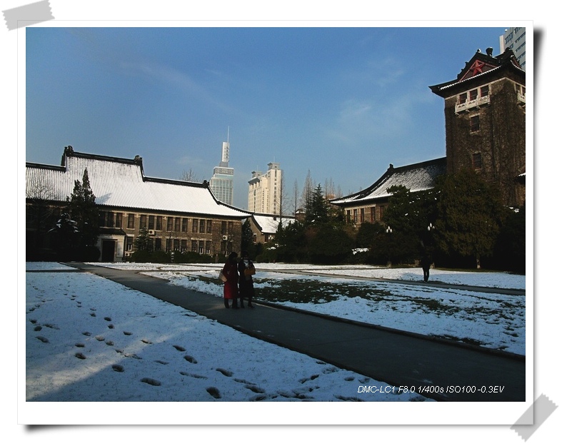 雪后 摄影 南园客