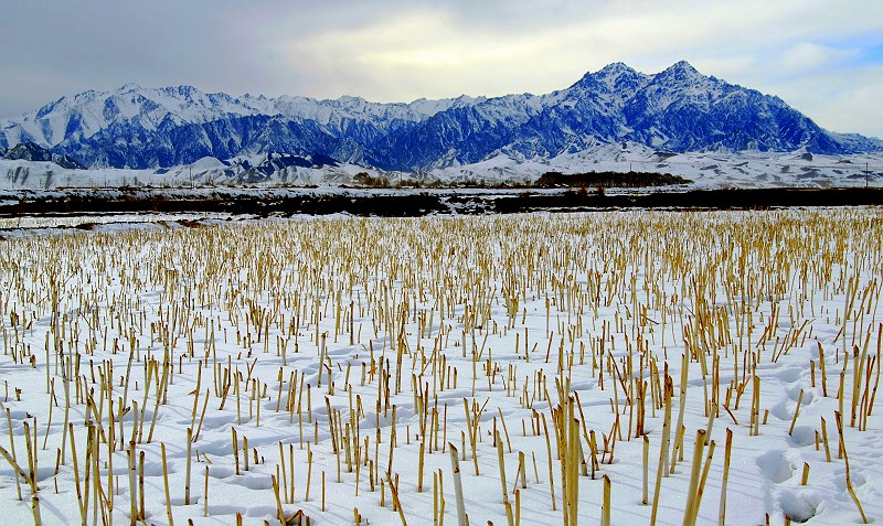 祁连山雪景 摄影 脱脱丞相