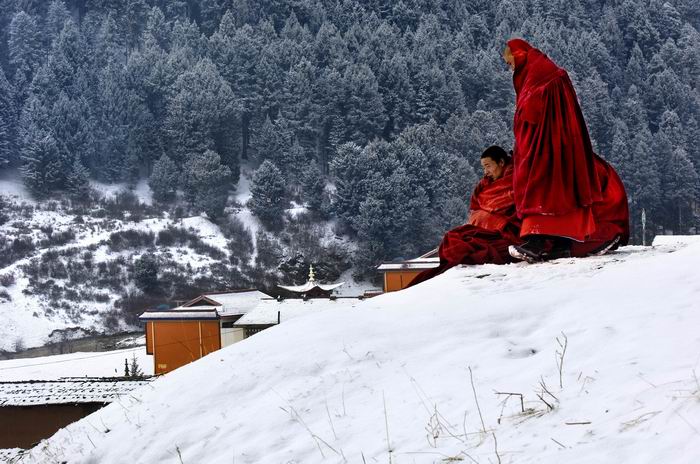 《雪中愈》 摄影 鸿福阁