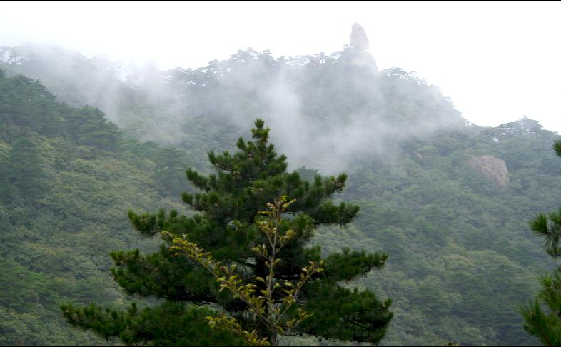 雾看黄山3-遥望石头记 摄影 金钢