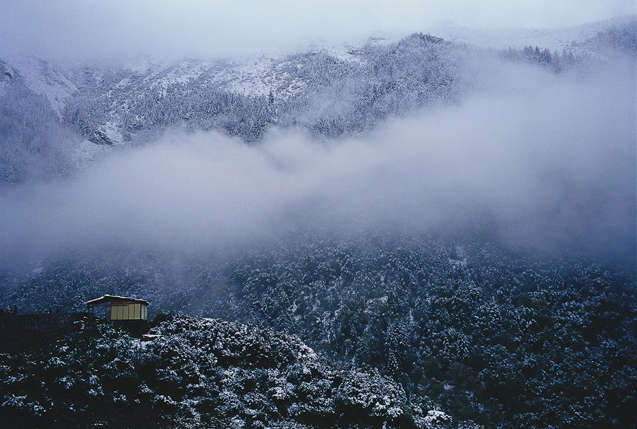 长坪雾雪 摄影 yuppy