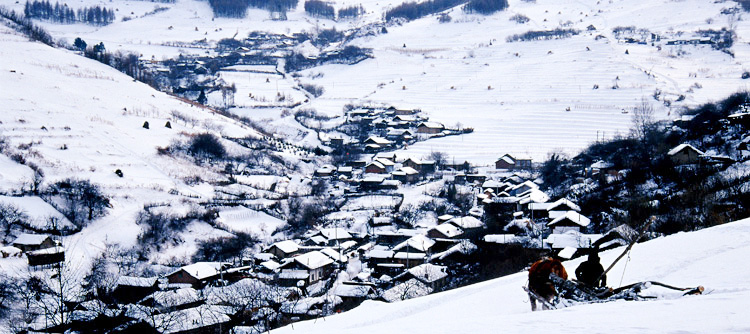 雪屯 摄影 采风人