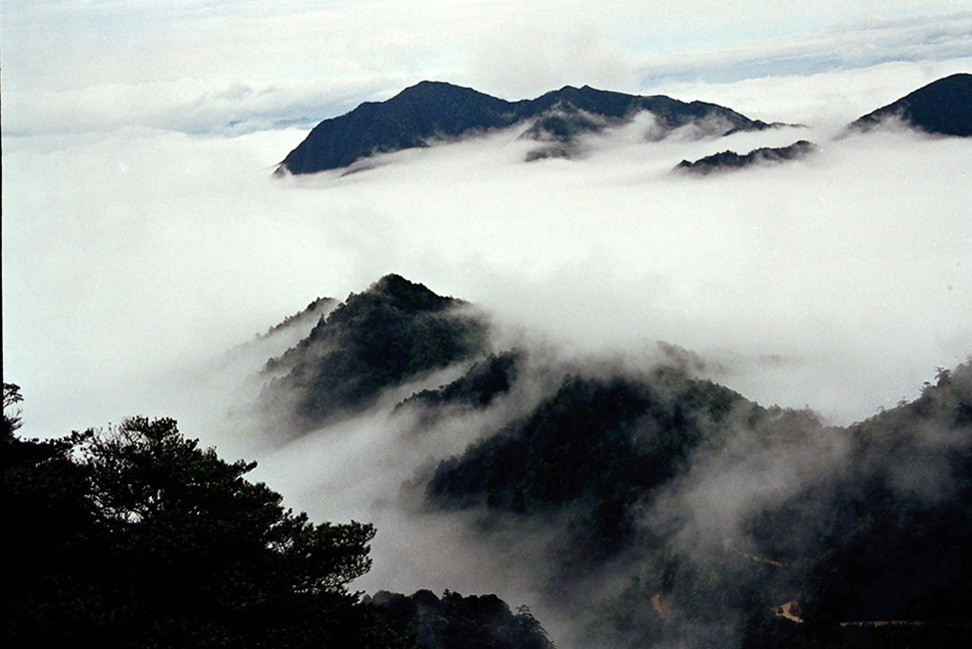 青山远近带翠微 摄影 闪闪红星