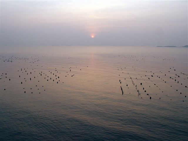 海上日出 摄影 小惟