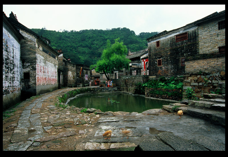 杨祠古村 摄影 方寸