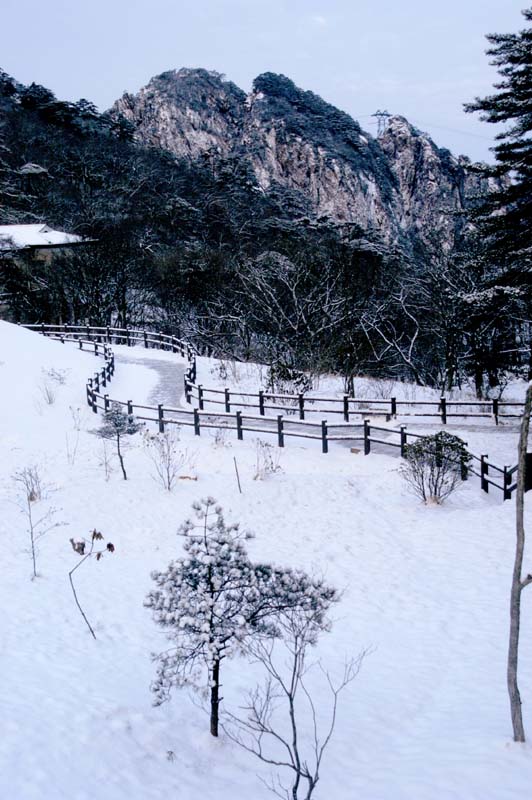 弯弯的雪径 摄影 太白遗风