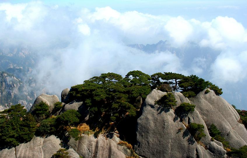 美丽的黄山-仙境 摄影 金钢