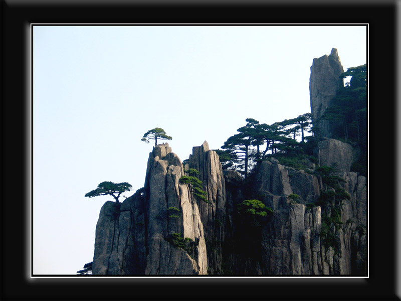 黄山风光在险峰 摄影 齐云