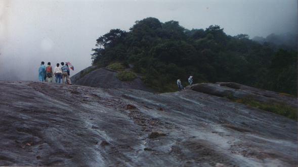 春乡 摄影 taoyijia