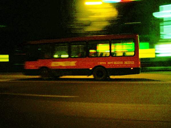 BUS 摄影 南瓜乐园