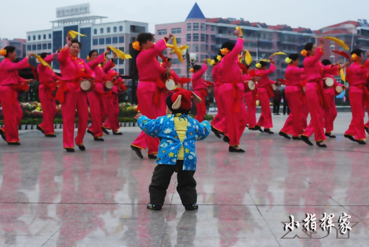 小指挥家 摄影 清平乐