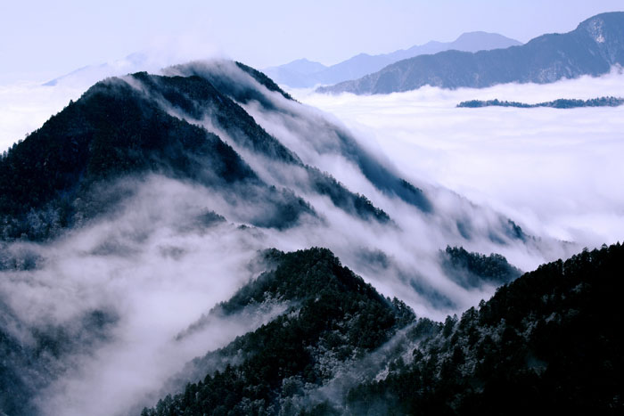 四川西岭雪山 摄影 风景独好513