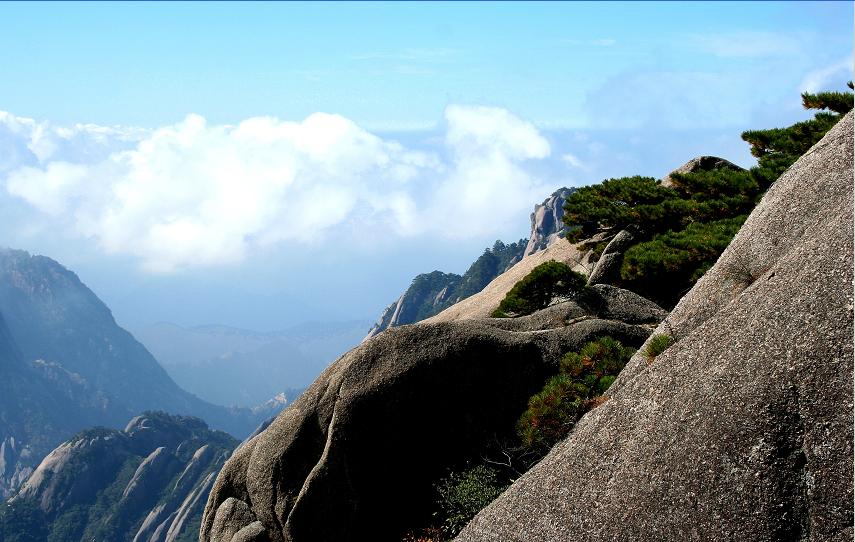 美丽的黄山-仙境 摄影 金钢