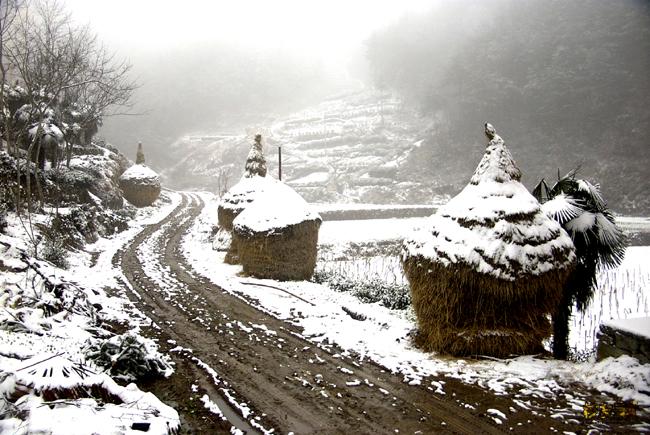 家乡的雪 摄影 丫爪