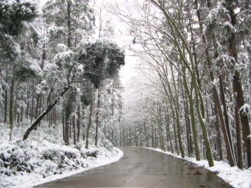 雪中路 摄影 yakexi