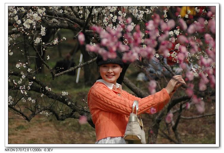 花样年华 摄影 竹声敲月