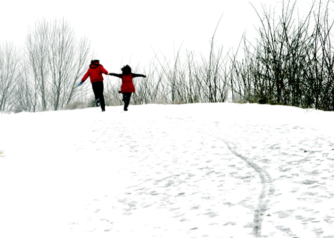 雪中情 摄影 mingchunguan