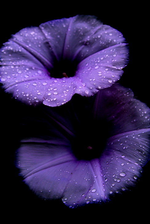 相伴 摄影 田雨
