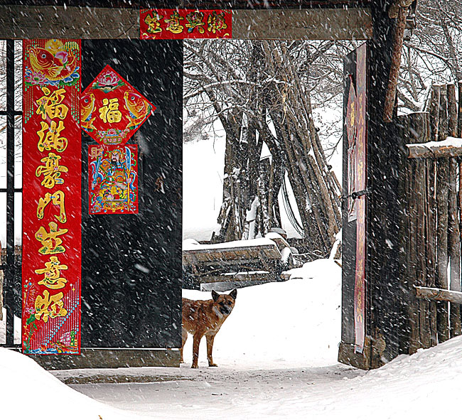 门神 摄影 采风人