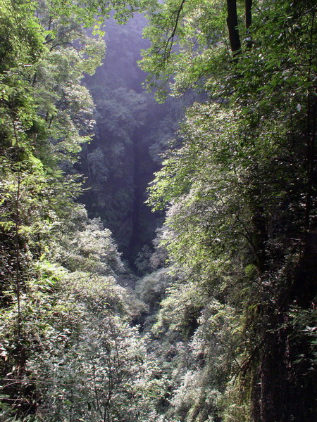 寂静山林 摄影 飞跃无限