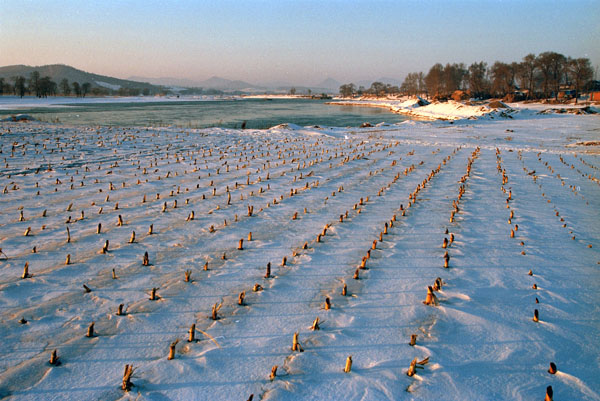 冰天雪地 摄影 写字板