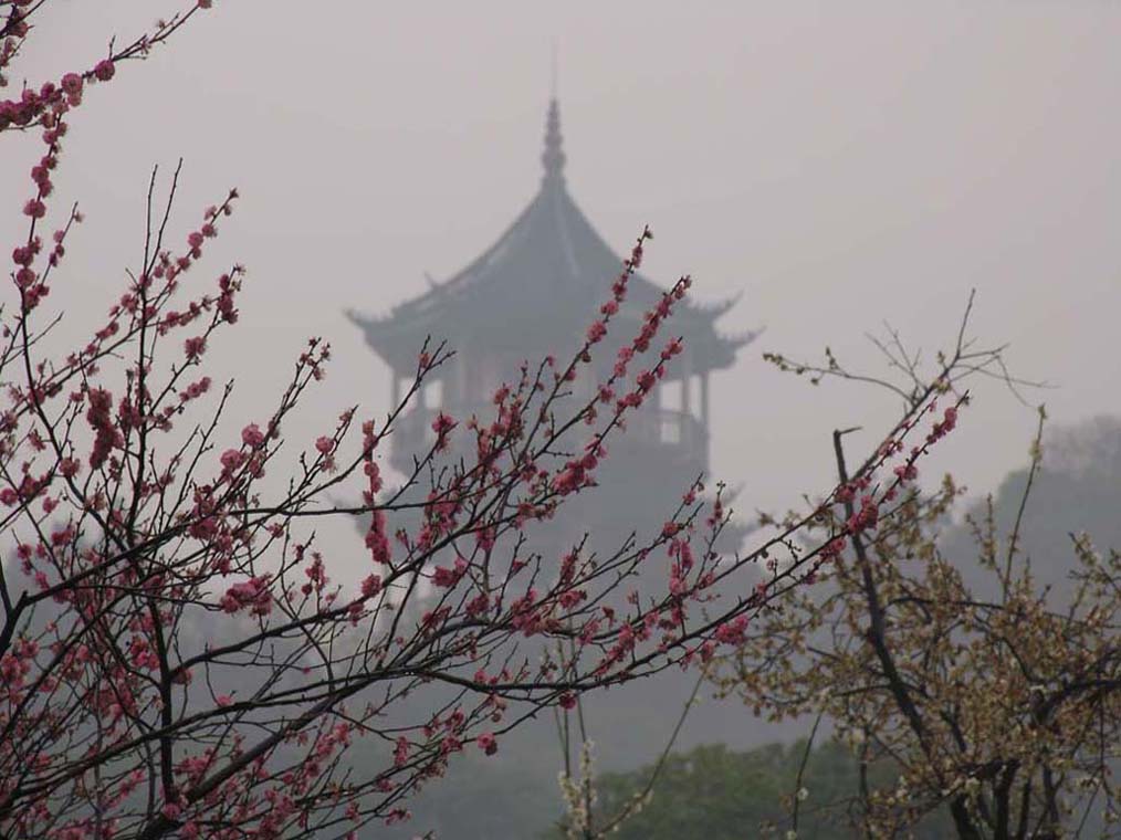 梅山梅雨 摄影 国歌