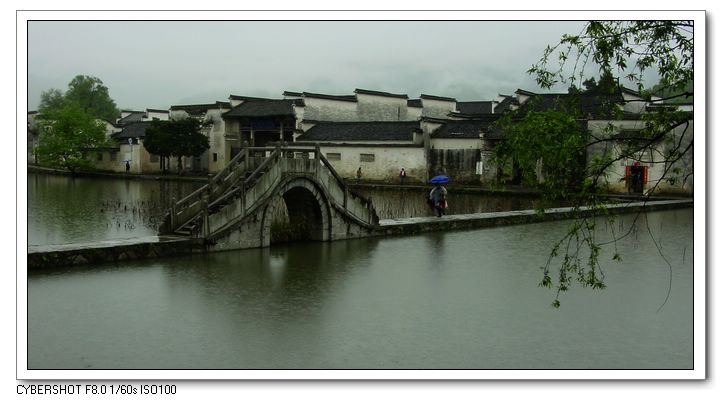 雨中 摄影 nan97