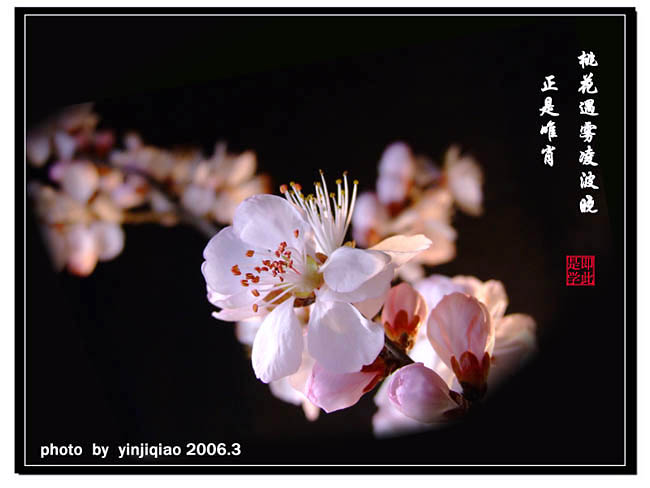 正是唯肖 摄影 yinjiqiao