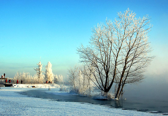 奶头河的早晨 摄影 冰雪情