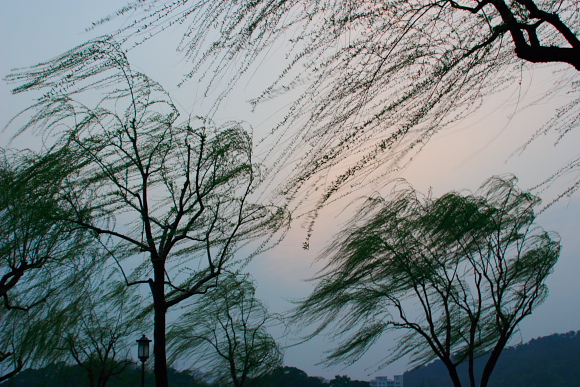 乱 摄影 月亮雨