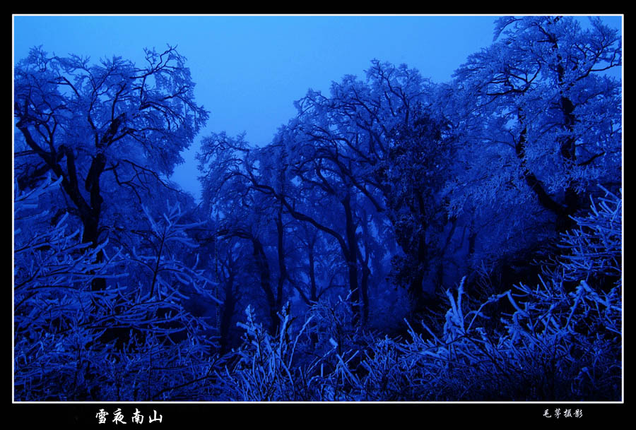 雪夜南山 摄影 无边无际