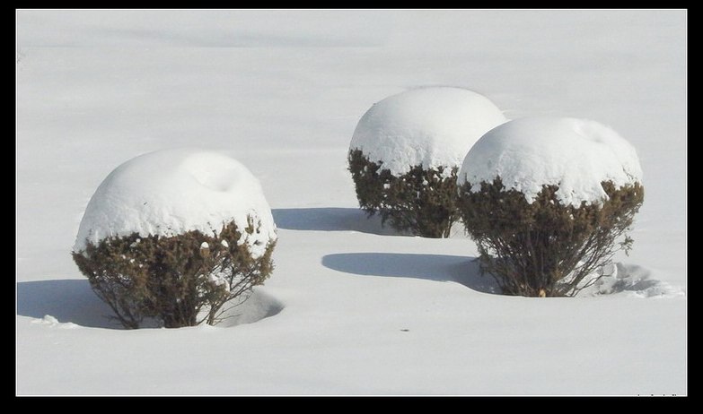 瑞雪 摄影 岁月无痕