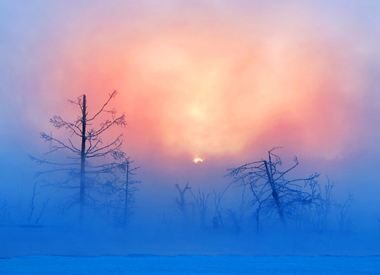 冬日的早晨 摄影 冰雪情