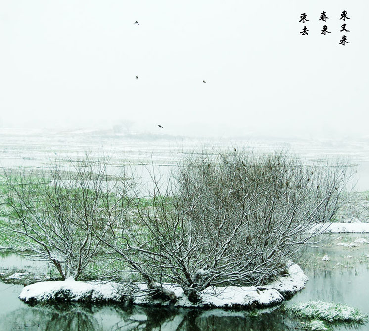 春雪 摄影 xiaobing