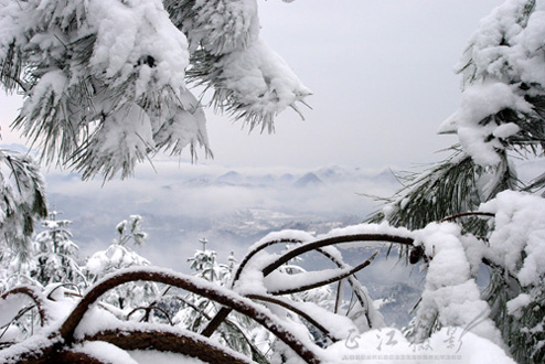 东山雪景 摄影 故乡月