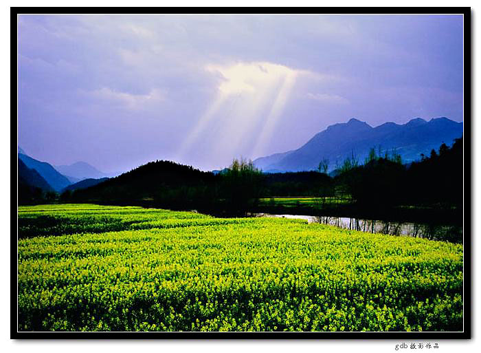 雨后 摄影 gdb