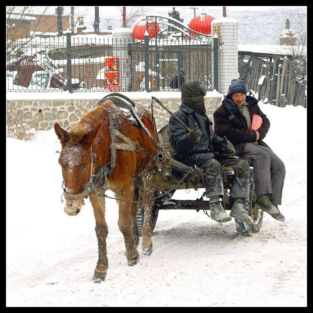 聊在风雪中 摄影 东北雪飘飘