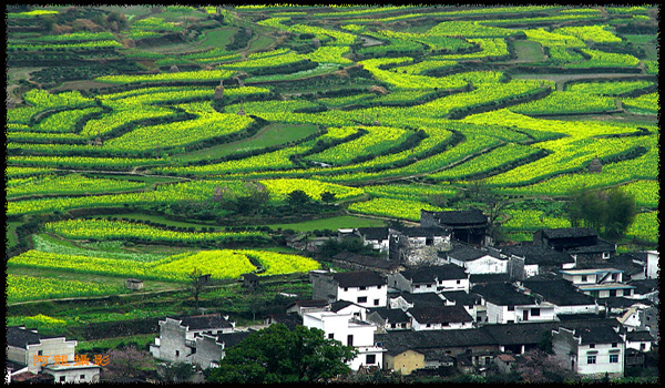 江岭画韵 摄影 古越龙山人