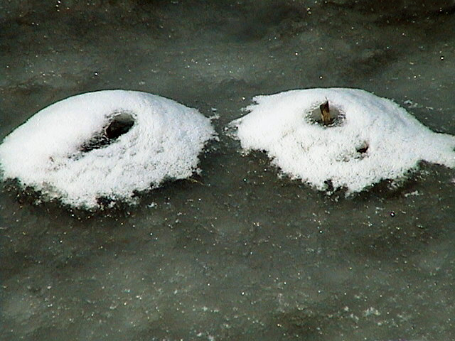 冰雪消融印象 摄影 北方