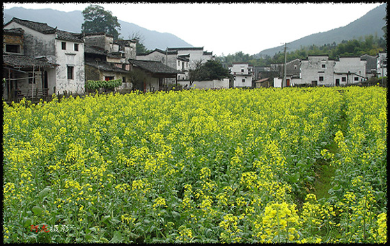 庆源一景 摄影 古越龙山人