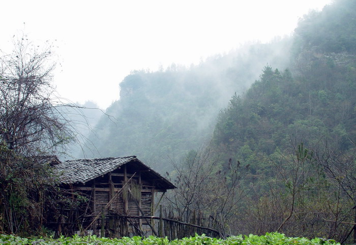 在油草河风景区 摄影 知晓