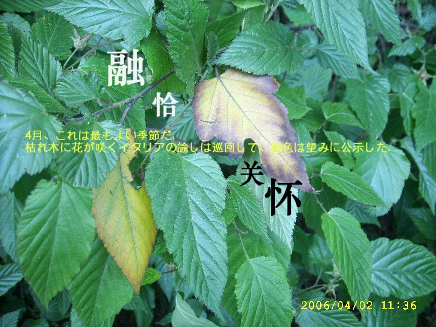 融洽与关怀 摄影 天水碧