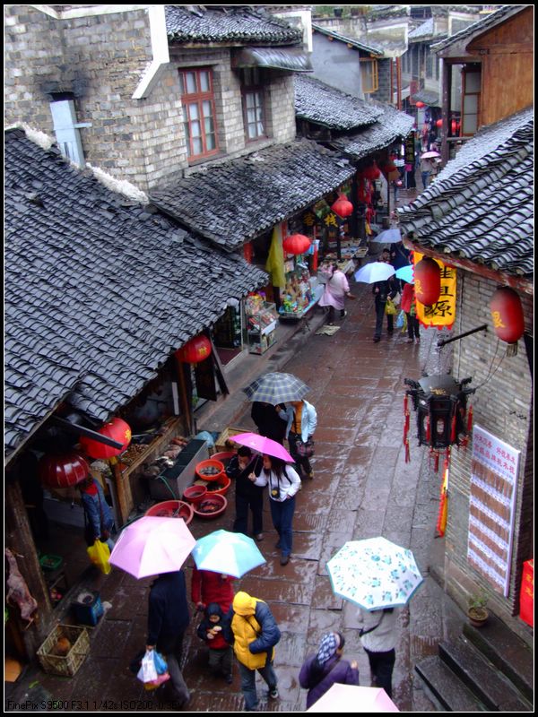 雨中情 摄影 男子汉