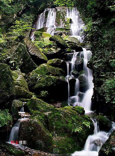 空山闻语 摄影 古越龙山人