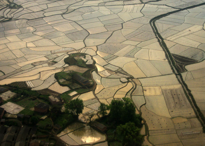 春回大地 摄影 zhangym