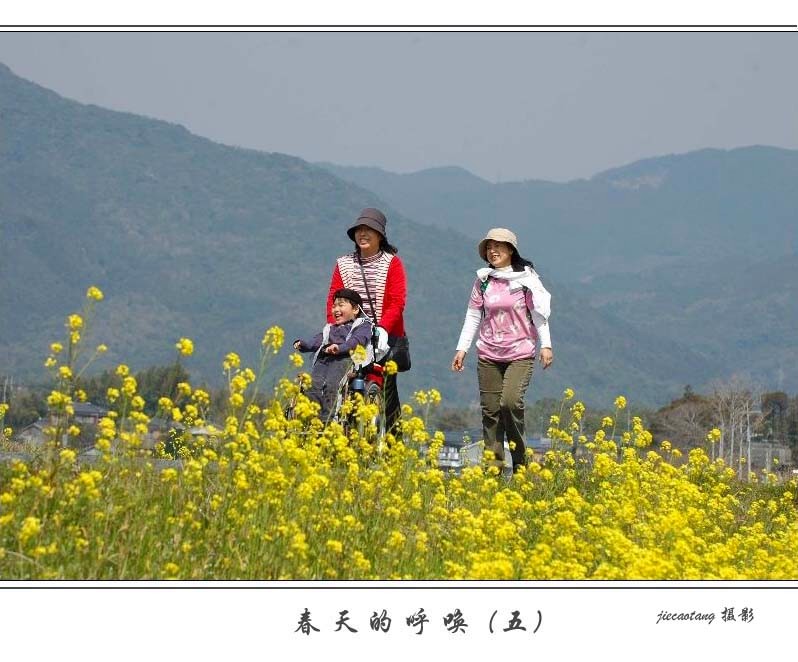 春天的呼唤（五） 摄影 结草堂